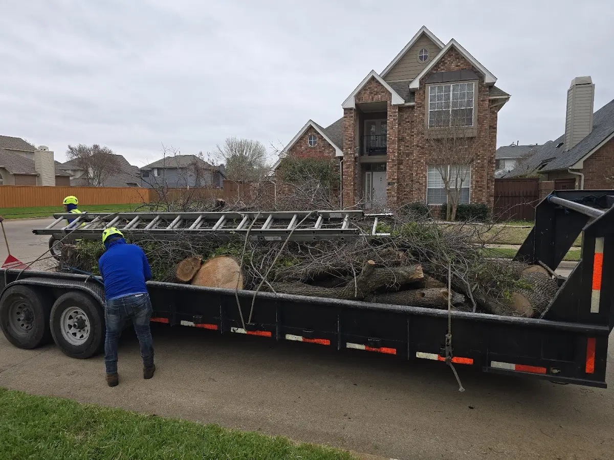 Expert Tree Removal with proper safety equipment in Deersville